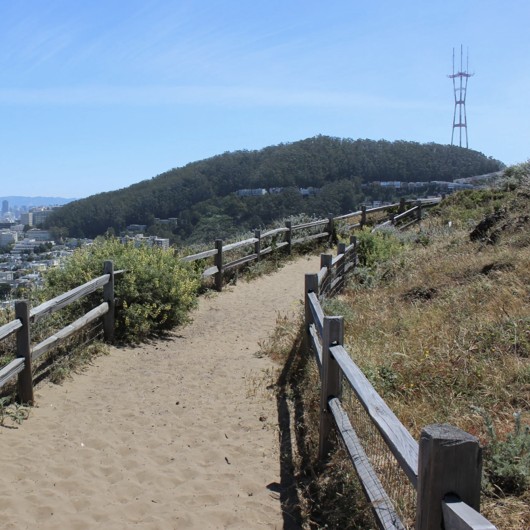 The SF Standard